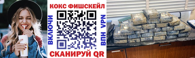 Где купить наркотики Закаменск OMG зеркало МДМА Гашиш Cocaine Меф мяу мяу Псилоцибиновые грибы