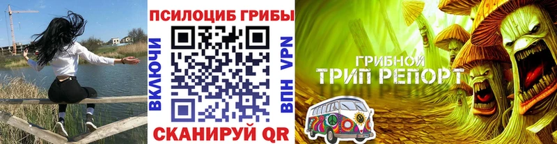купить наркотик Закаменск Галлюциногенные грибы мицелий